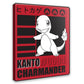 Ultra PRO: Charmander 9 Pocket Portfolio Binder