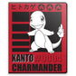 Ultra PRO: Charmander 9 Pocket Portfolio Binder